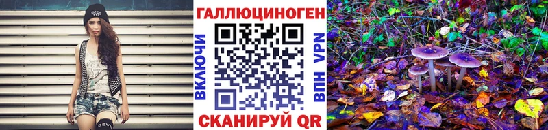 сколько стоит  Щучье  Галлюциногенные грибы GOLDEN TEACHER 